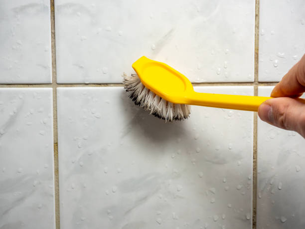 Best Home Mold Removal  in Lakefield, MN