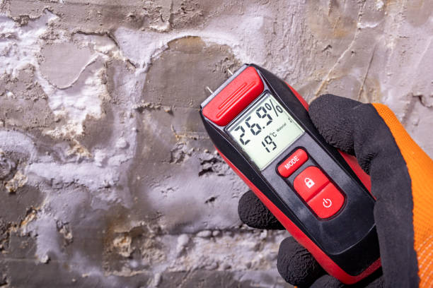 Best Mold Removal Specialists  in Lakefield, MN