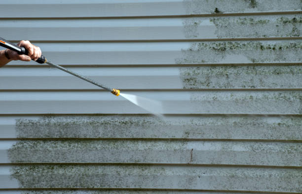 Best Residential Mold Removal  in Lakefield, MN