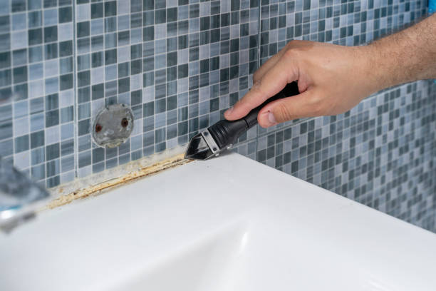 Home Mold Removal in Lakefield, MN