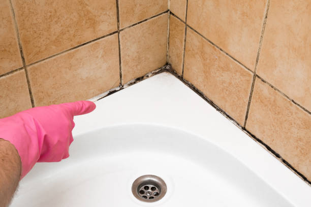 Best Mold Testing  in Lakefield, MN
